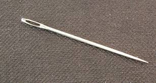 Needle