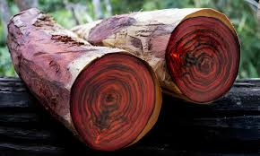 Rosewood