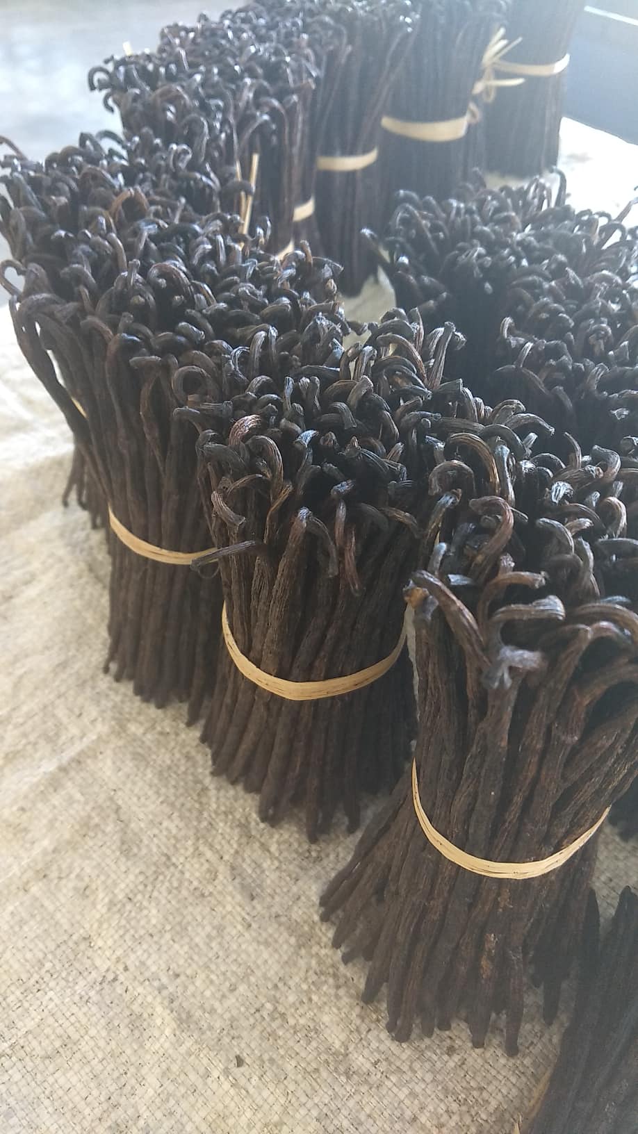 Madagascar vanilla beans  