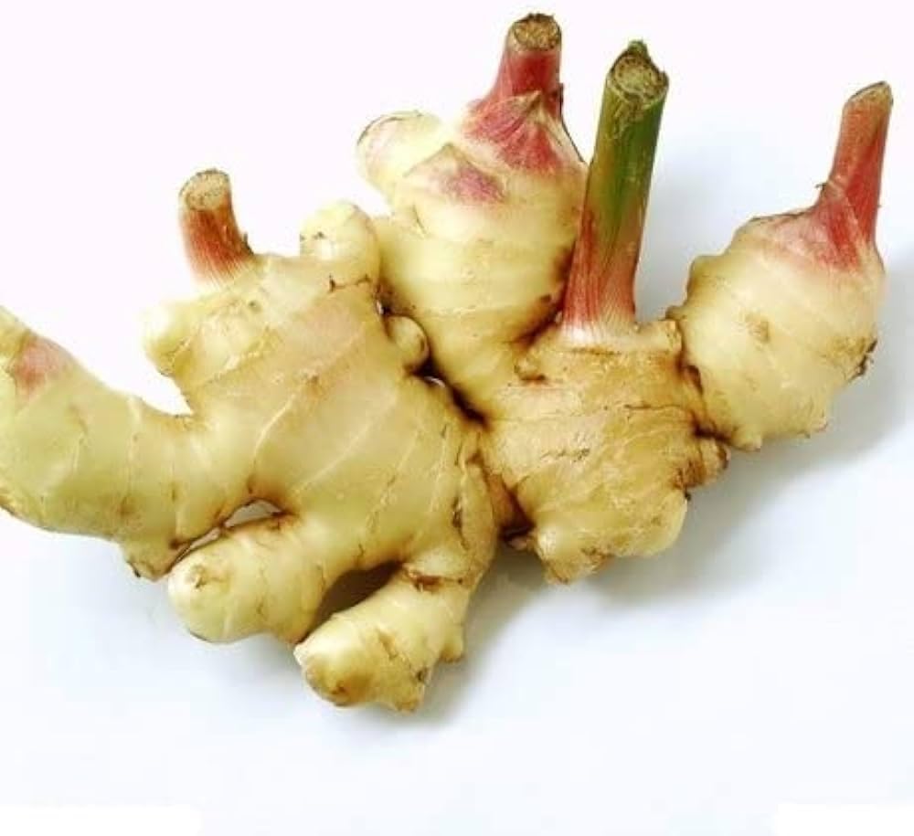 Fresh Young Ginger