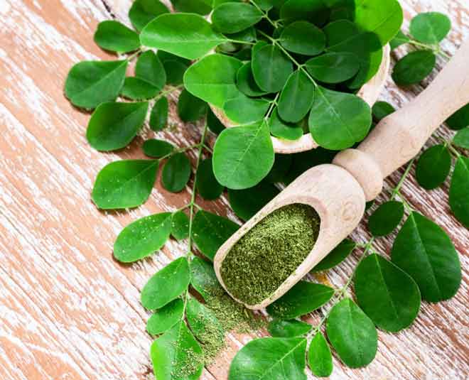 Moringa Powder