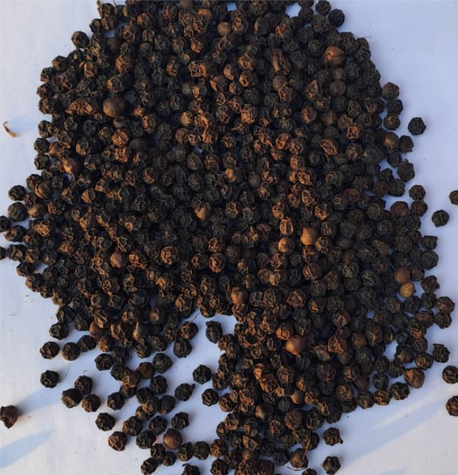 Black Pepper