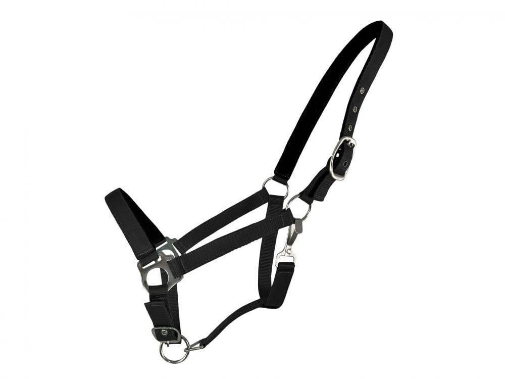 PP Halter With Neoprene Padded 