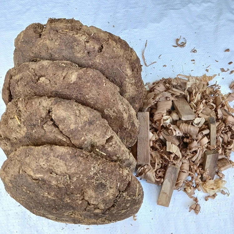 Plantsab Big Cow Dung Cake 