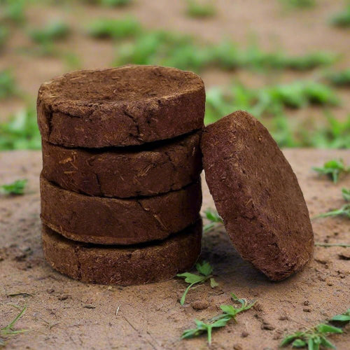Organic Desi Kangeyam Cow Dung Cake