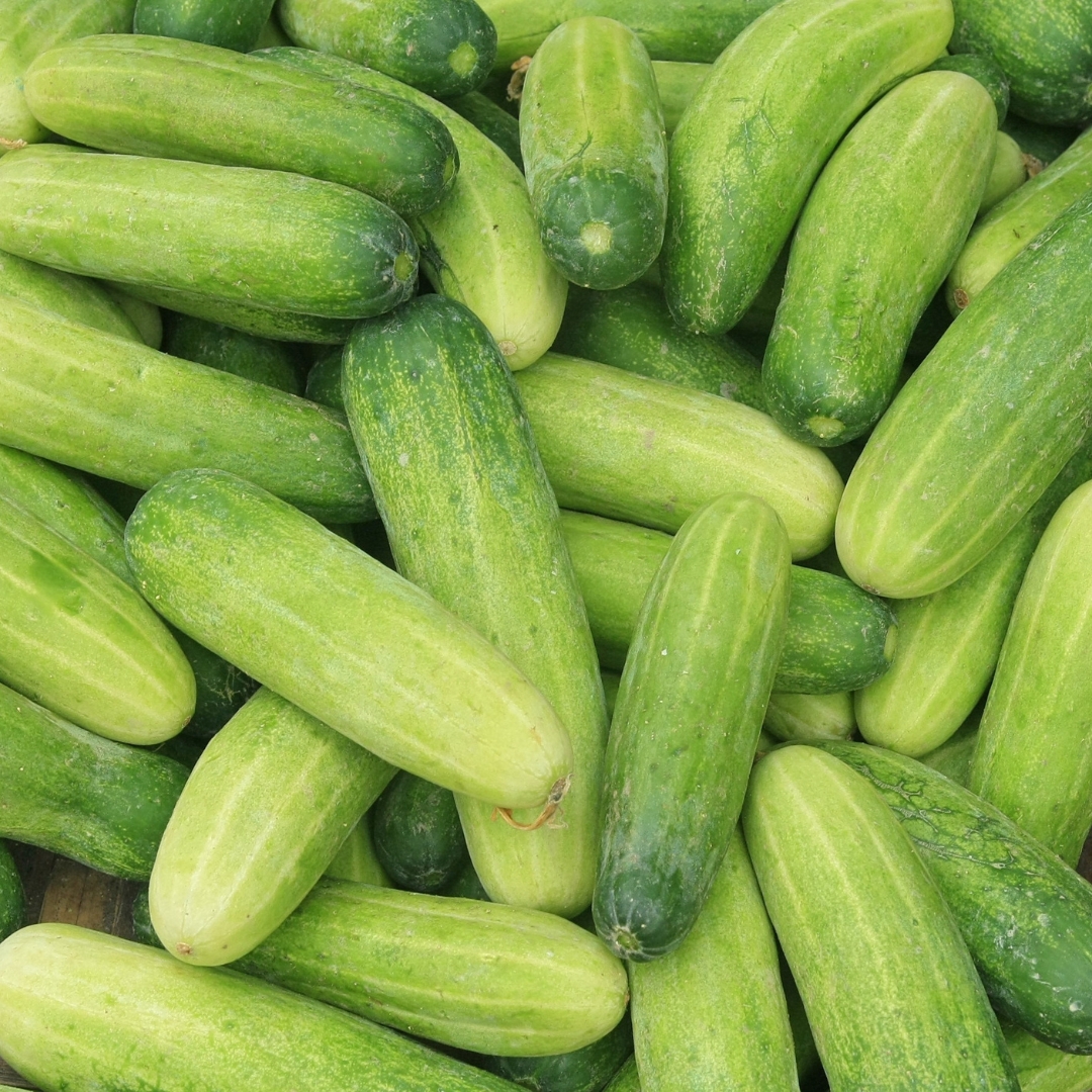Cucumbers