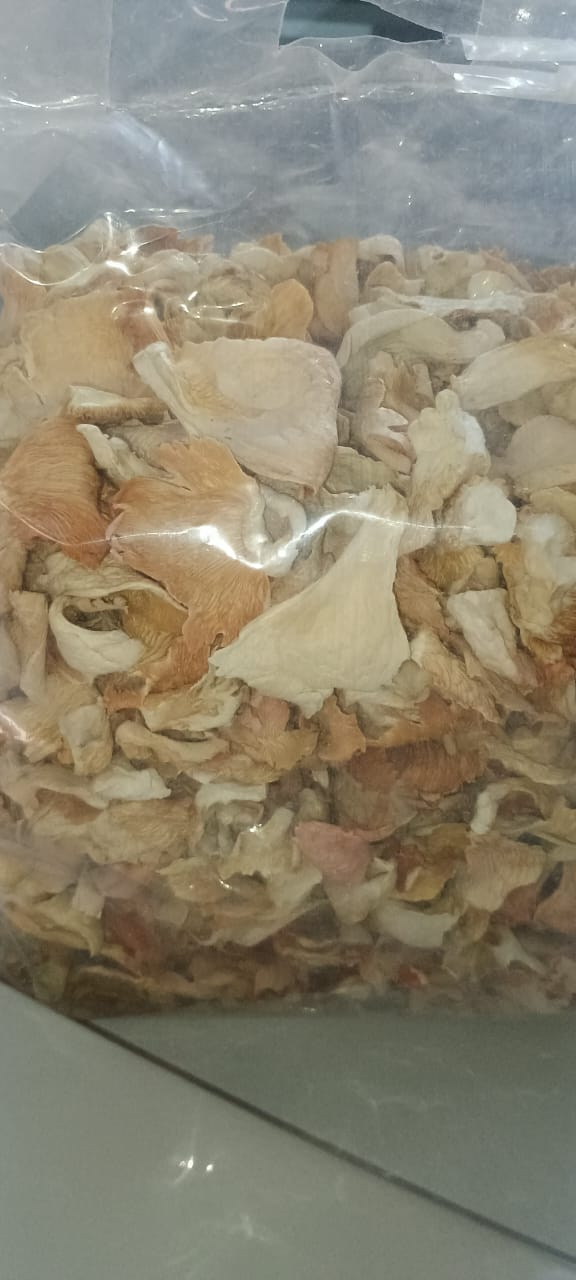 Dry Oyster Mushroom