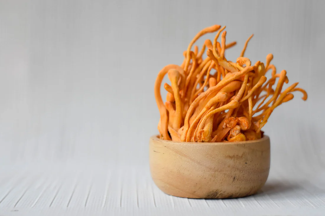 Dry Cordyceps Mushroom
