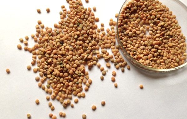 Guar Seeds