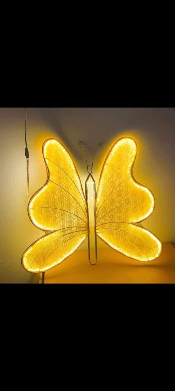 Yellow Light Butterfly 