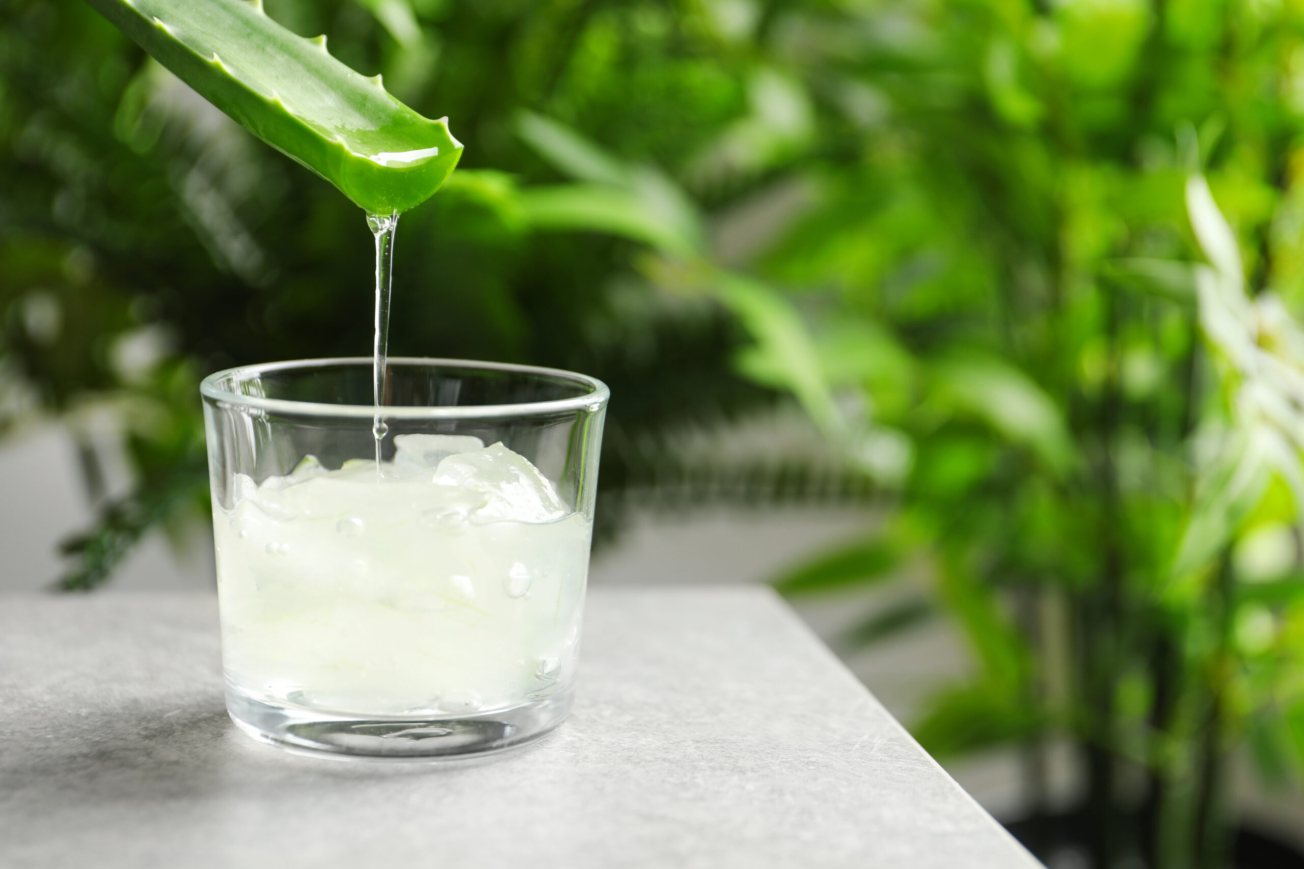 Aloe vera juice 