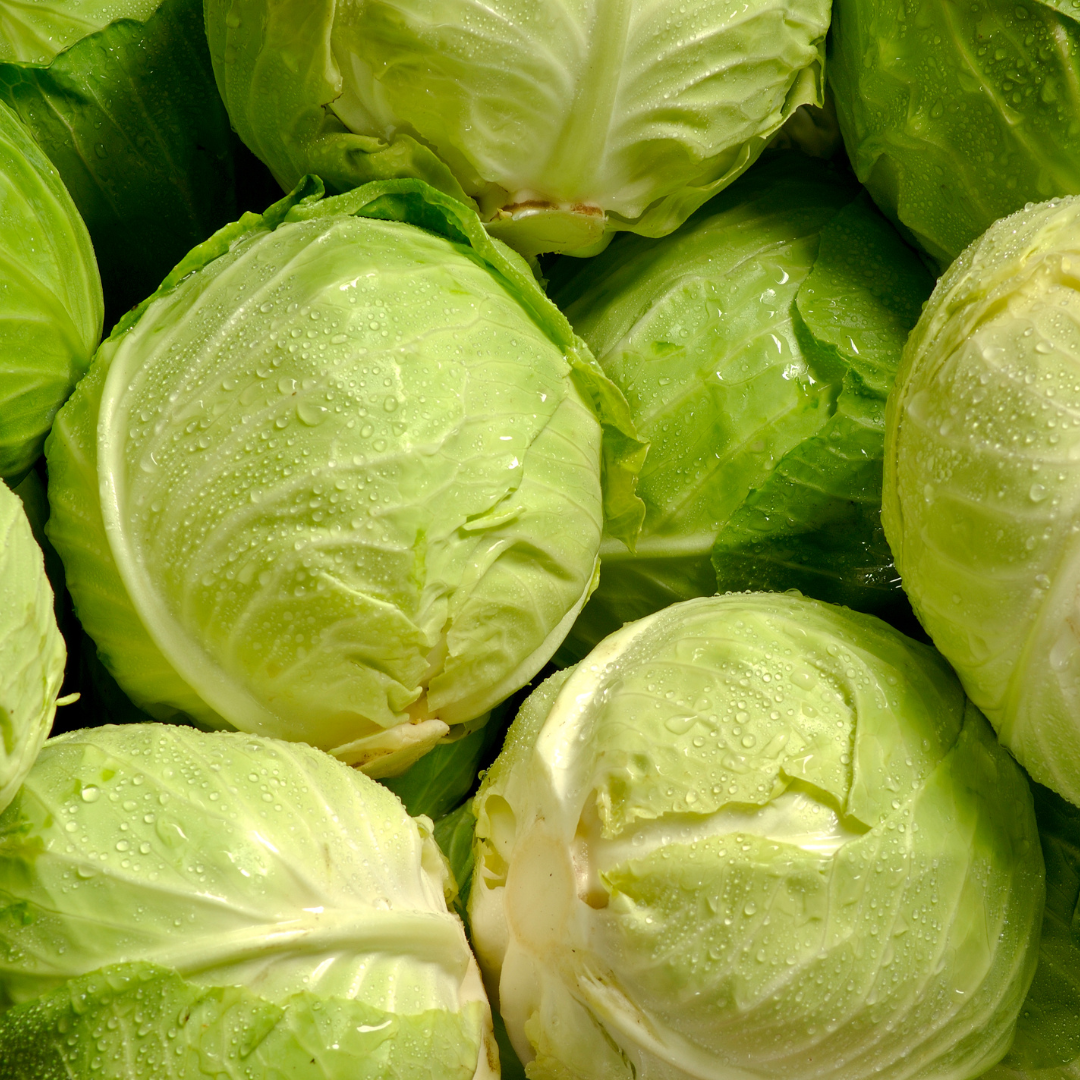 Cabbage