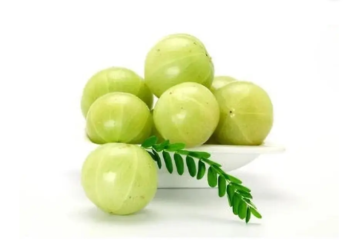 Amla (Indian Gooseberry)