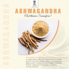 Ashwagandha (Withania Sominifera) 