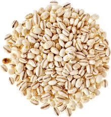 Barley Seeds 