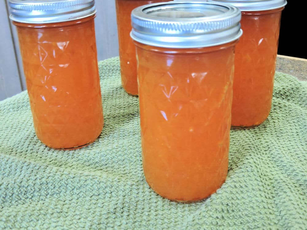 Papaya jelly 
