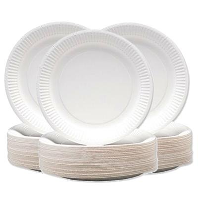 Paper Plate