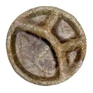 Pattal Plate (Areca / Sal Leaf Disposable Plate)