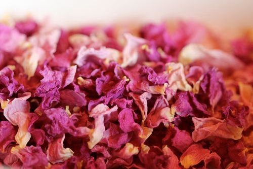Organic Soap