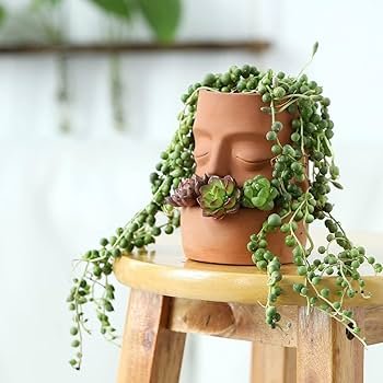 Organic Soap