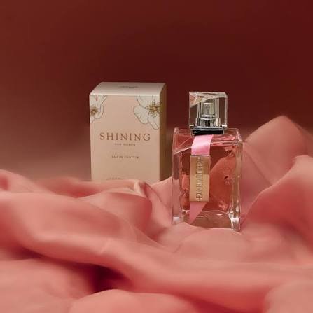 Women\'s Perfume